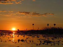 Davidsons Arnhemland Safaris Sunset