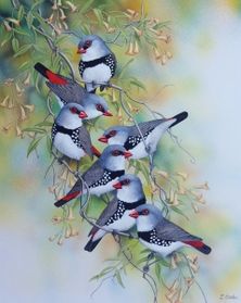 Lyn Cooke - Wildlife Artist - Diamond Firetails