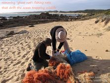 Wildlife Journey Fishing Net Removal