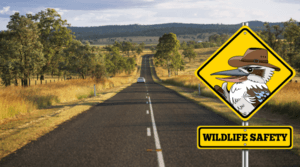 Wildlife Safety - Help For Wildlife