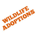 Wildlife Adoptions by The Land Down Under