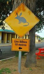 Bilby Sign - photo by Penny Smith