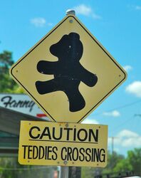 Caution Teddies Crossing in the outback of Queensland. Photo by Penny Smith