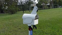 Cockatoo Mailbox - or did the cocky eat the mailbox? - Photo by Vivienne Tracy