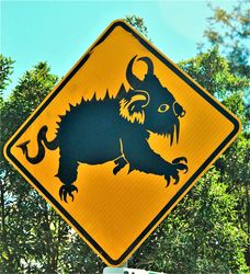 Drop Bears with serious attitude warning sign - photo by Penny Smith