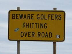 Golfers...........errr...........over the road at Peterborough Victoria. Well that's cheeky. Photo by Penny Smith