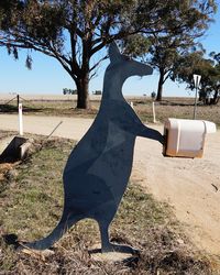 Kangaroo letterbox greets the postie on an country road in NSW