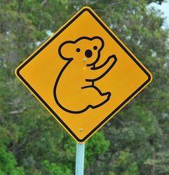 Koalas Road Sign - photo by Penny Smith