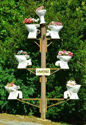 Lavatory - no - Lavatree. Dorrigo NSW. Photo by Penny Smith