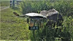 Lazy Turtle Letterbox - photo by Vivienne Tracy