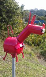 No way the postie could miss this pink mail mule letterbox on his rounds - photo by Vivienne Tracy