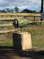 Dragon Fly mailbox - Warrill View QLD - by Dave Hambly