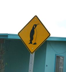 Watch for Penguins in the area - Kangaroo Island