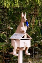 This kangaroo isn't caught on the hop - she's got her phone at the ready! - Tasmania