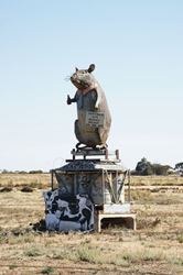 A large protesting rat - South Australia