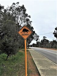 Quenda - Southern Brown Bandicoot Sign - Perth Hills WA. Photo by Sean Van Alphen