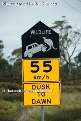 It's not only the wildlife that gets hurt - Tasmania