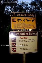 Animal, Croc and Safety for You - Northern Territory