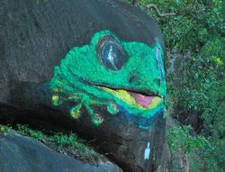 Sitting like a Frog on a Rock. Queensland. Photo by Penny Smith