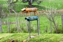 The Tasmanian Tiger has been spotted - or has it? - Tasmania