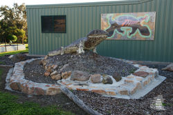 The Big Blue Tongue Lizard - Port Lincoln SA