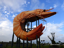 The Big Prawn - Ballina NSW by Janelle Swainston