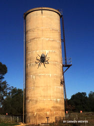 The Big Spider sits precariously perched on the town of Urana's Water Tower. Photo by Carmen Brewer