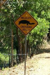 Watch for Turtles and other wildlife - Fogg Dam - Northern Territory