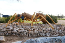 The Big Ant - South Australia