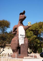 The Big Kangaroo - Border Village - South Australia