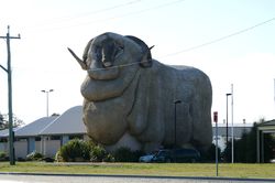 The Big Merino - Goulburn - New South Wales