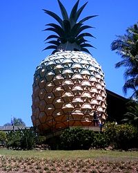 The Big Pineapple - Queensland