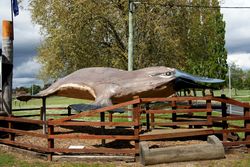 The Big Platypus - Tasmania