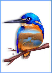 Greeting Card - Azure Kingfisher 