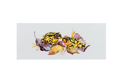 Bookmark - Corroborree Frog