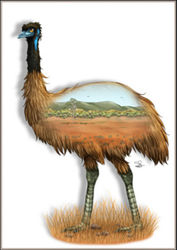 Greeting Card - Emu