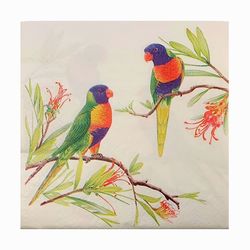 Napkins - Rainbow Lorikeets