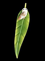 Bookmark  - Owl