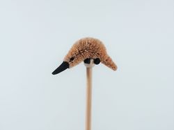 Platypus Pencil