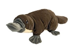 Platypus 12" Plush