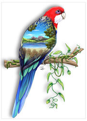 Greeting Card - Rosella