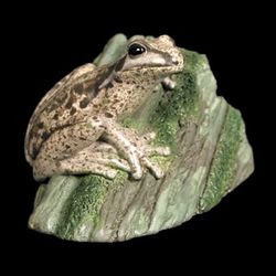 Tasmanian Tree Frog Figurine 