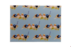 Variegated Fairy Wren Gift Wrap